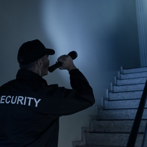 Residential-Security-Services1​